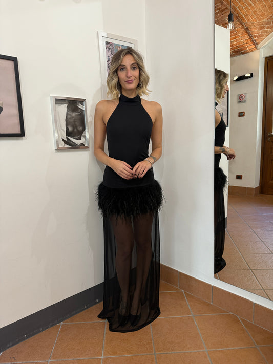 Abito Piume e Tulle