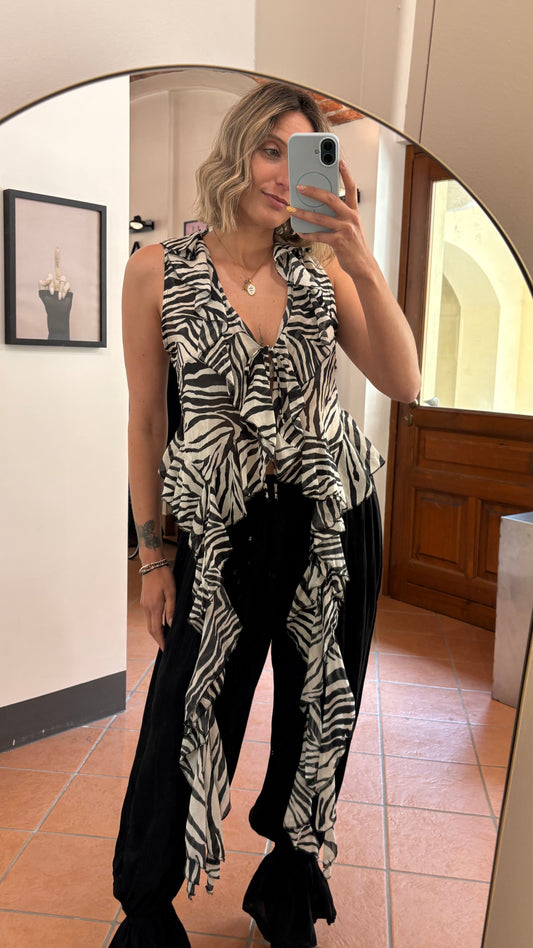 Top Zebra